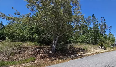 27 Matricaria Ct, Homosassa, FL 34446