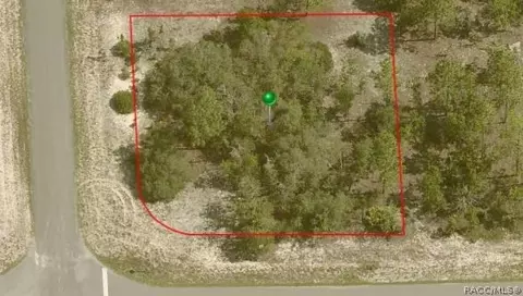 10330 N G Martinelli Blvd, Citrus Springs, FL 34433