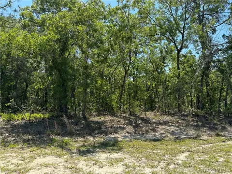 8815 N Nobleton Way, Citrus Springs, FL 34434