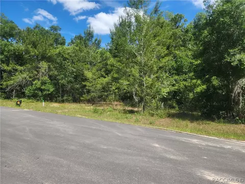 2630 Clearwood St, Inverness, FL 34452