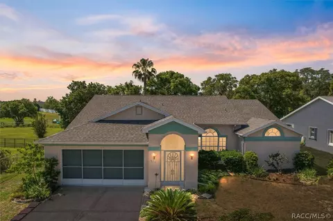 373 N Turkey Pine Loop, Lecanto, FL 34461