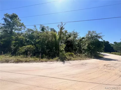 4956 E Posselt Dr, Hernando, FL 34442 photo 10