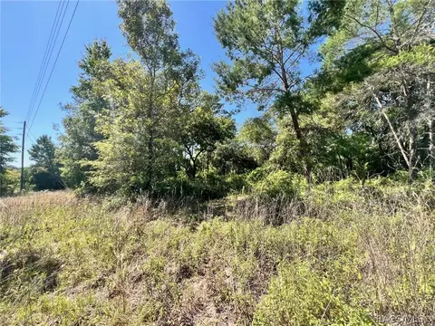 4956 E Posselt Dr, Hernando, FL 34442 photo 5