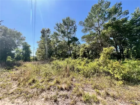 4956 E Posselt Dr, Hernando, FL 34442 photo 4