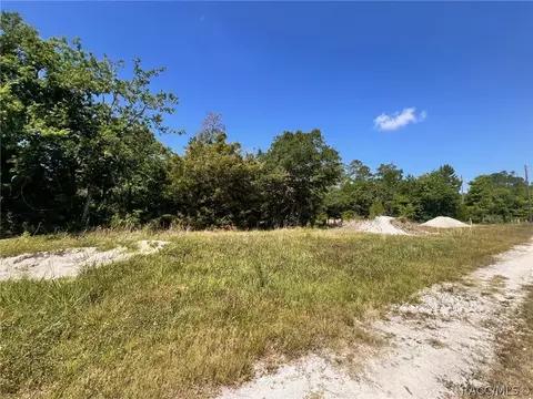 4956 E Posselt Dr, Hernando, FL 34442 photo 7
