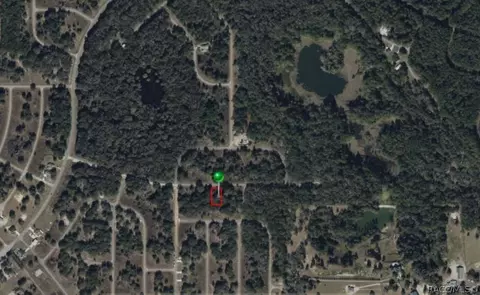 876 E Noah Ln, Dunnellon, FL 34434 photo 3