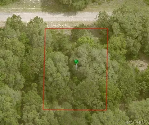 876 E Noah Ln, Dunnellon, FL 34434 photo 2