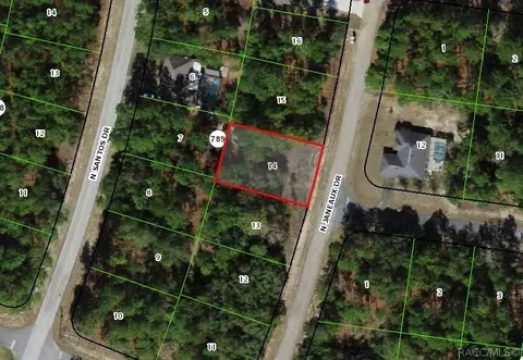 8110 N Janeaux Dr, Citrus Springs, FL 34434
