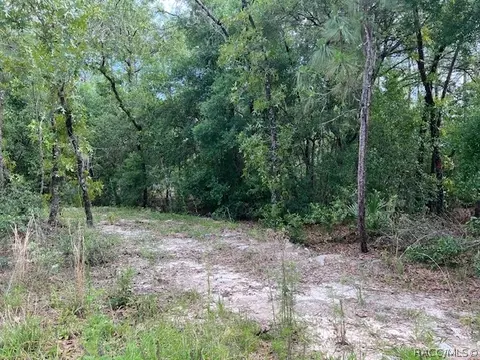 1108 E Van Gogh Ct, Hernando, FL 34442 photo 4