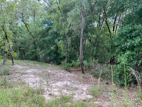 1108 E Van Gogh Ct, Hernando, FL 34442 photo 3