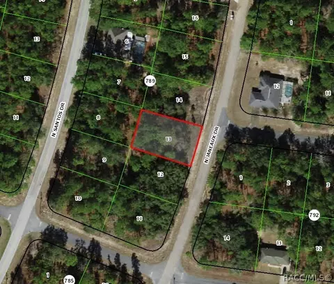 8098 N Janeaux Dr, Citrus Springs, FL 34434