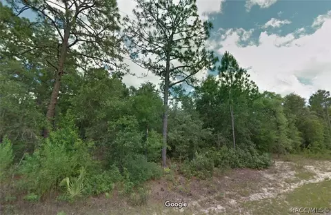 10731 N Hatari Dr, Citrus Springs, FL 34434