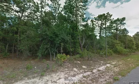 10747 N Hatari Dr, Citrus Springs, FL 34434