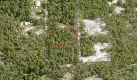 3698 S Chicory Ter, Inverness, FL 34450