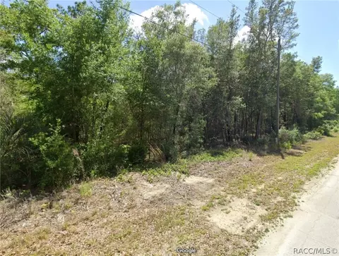 2552 W Dellwood St, Citrus Springs, FL 34434