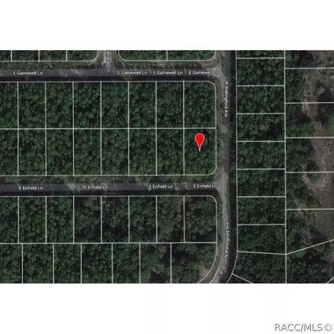459 Enfield Ln, Dunnellon, FL 34434