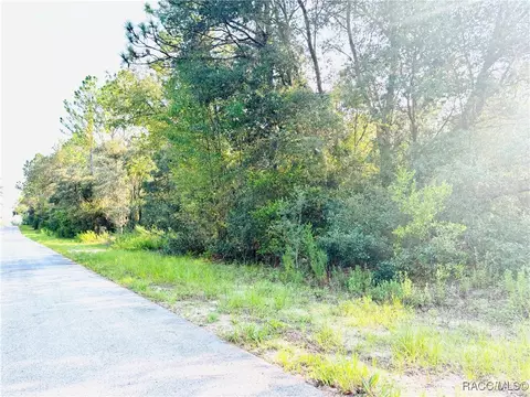 tbd SW Pineapple Hill Dr, Dunnellon, FL 34431