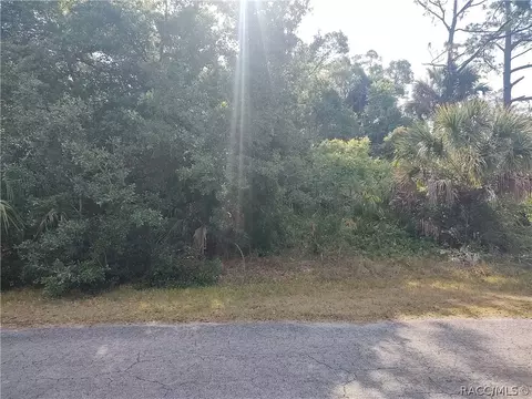 10349 N Coco Plumosa Dr, Crystal River, FL 34428