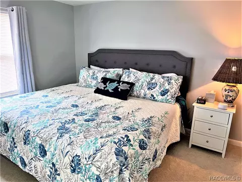 4186 N Bluewater Dr, Hernando, FL 34442 photo 17