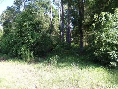 00 W 40 Hwy, Dunnellon, FL 34431