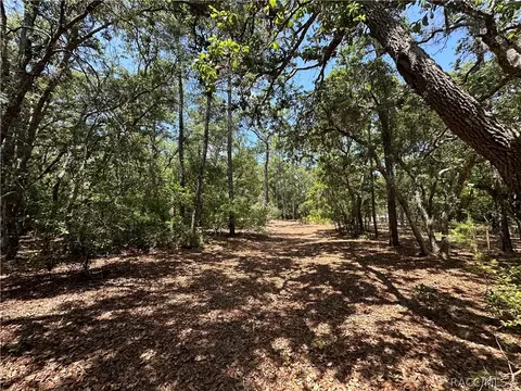 3792 S Reflection Ave, Inverness, FL 34450 photo 5