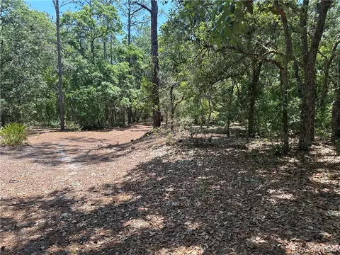 3792 S Reflection Ave, Inverness, FL 34450 photo 4