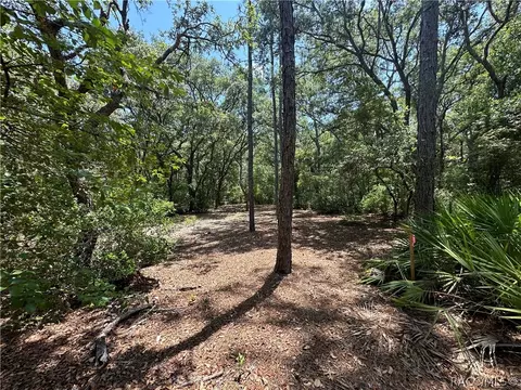 3792 S Reflection Ave, Inverness, FL 34450 photo 7