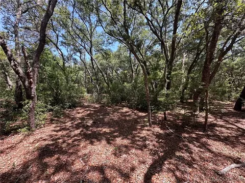 3792 S Reflection Ave, Inverness, FL 34450 photo 3