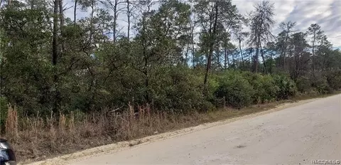 8347 N Husky Ave, Dunnellon, FL 34433