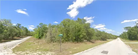 10091 N Jacobson Way, Dunnellon, FL 34434
