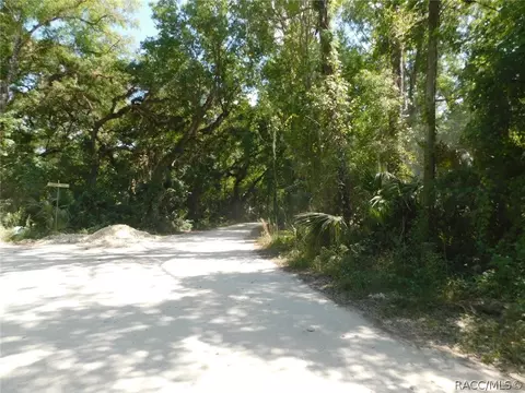 6589 E Channel Dr, Hernando, FL 34442 photo 39