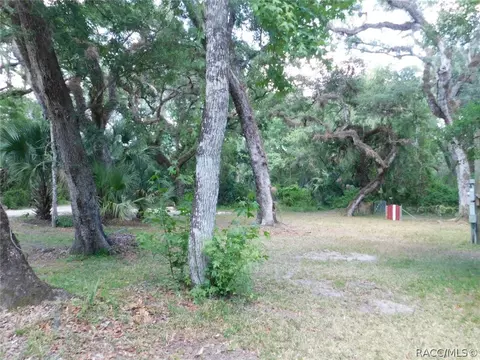 6589 E Channel Dr, Hernando, FL 34442 photo 44