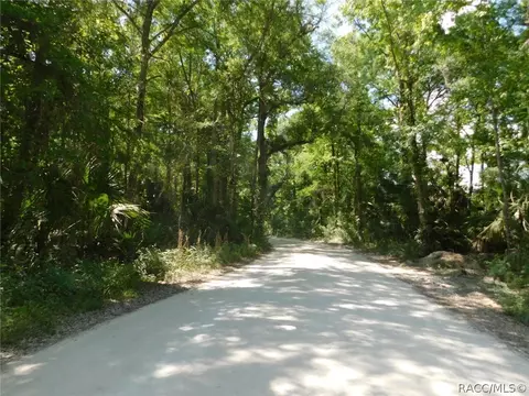 6589 E Channel Dr, Hernando, FL 34442 photo 40