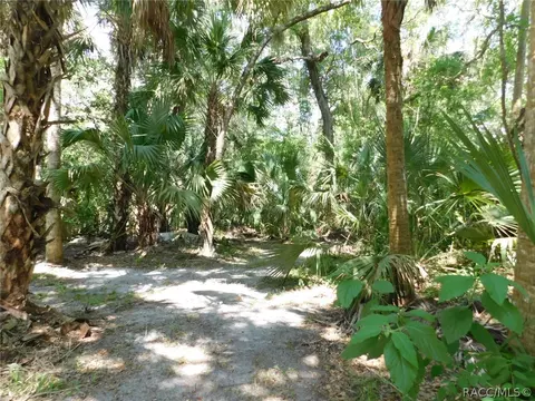 6589 E Channel Dr, Hernando, FL 34442 photo 29