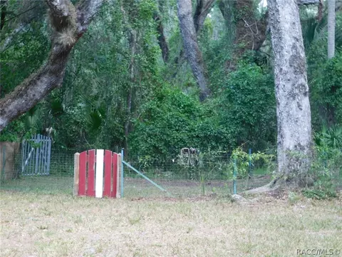 6589 E Channel Dr, Hernando, FL 34442 photo 43