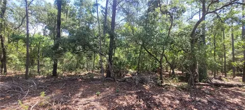 3641 S Chicory Ter, Inverness, FL 34450