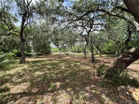 10144 E Douglas Ct, Inverness, FL 34450 photo 6