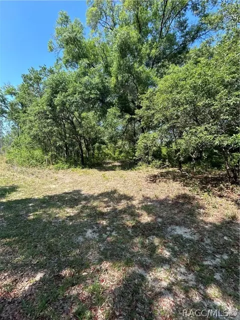 8024 N Yellowbird Ave, Dunnellon, FL 34434