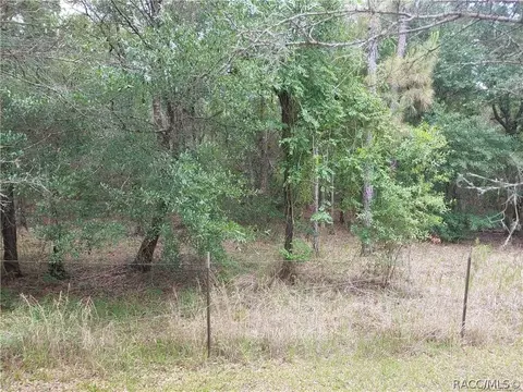 10327 N Big Bass Trl, Dunnellon, FL 34434