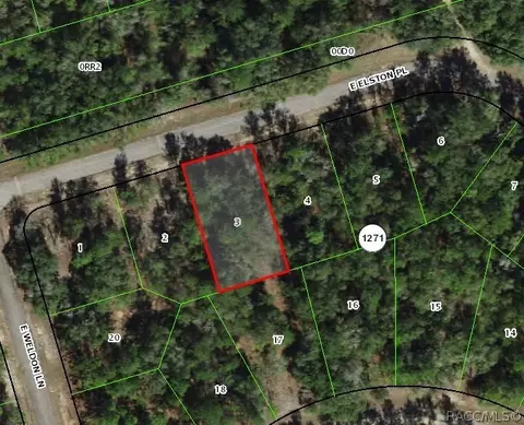778 Elston Pl, Citrus Springs, FL 34434