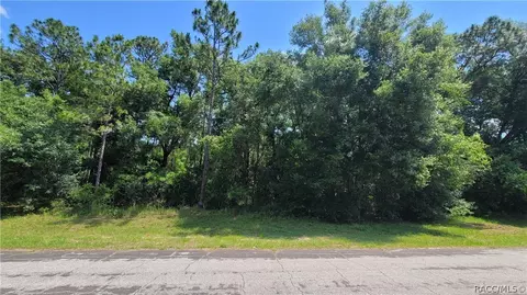 10079 N Athenia Dr, Citrus Springs, FL 34434