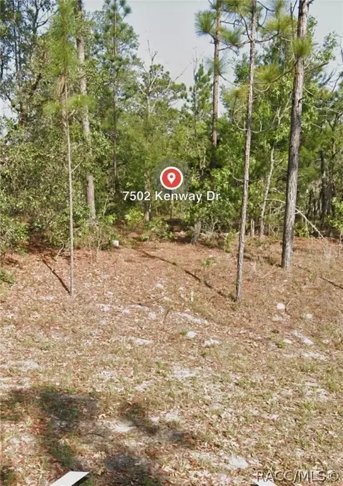 7502 N Kenway Dr, Citrus Springs, FL 34433