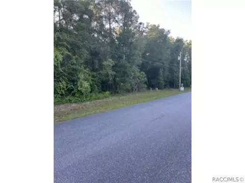 5454 S Leonard Ter, Inverness, FL 34452
