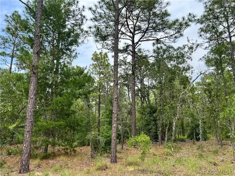 0 SW 71st Lane Rd Ln, Ocala, FL 34472