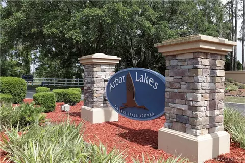3948 E Lake Todd Dr, Hernando, FL 34442 photo 39
