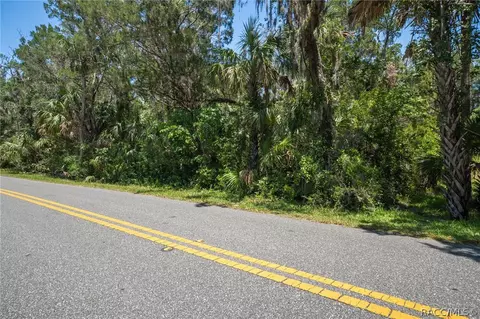 6721 S Mason Creek Rd, Homosassa, FL 34448