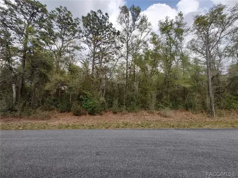 10653 N Malva Way, Dunnellon, FL 34434