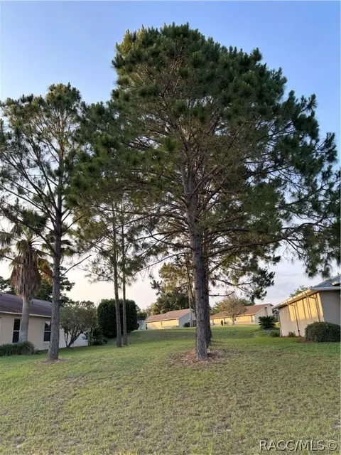 1809 W Nicole Dr S, Lecanto, FL 34461