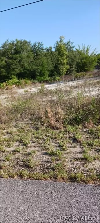 Tdb SW South Lakes Court, Dunnellon, FL 34431