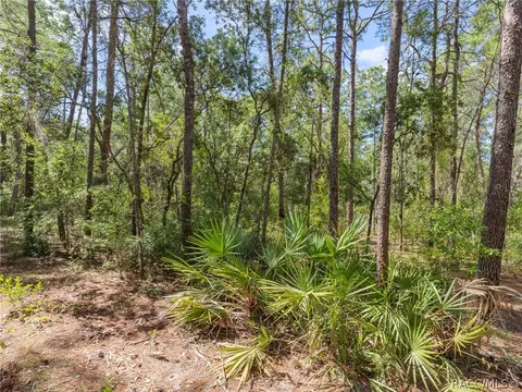 1441 Evelyn St, Hernando, FL 34442 photo 53